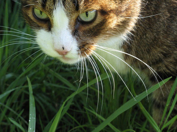 Анвар Егубаев