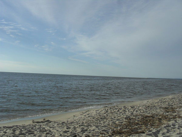 Елена Савелова