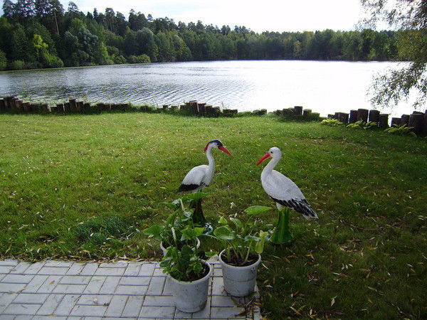 Любовь Соболева