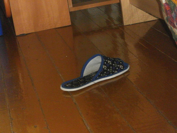 Алина Зарипова