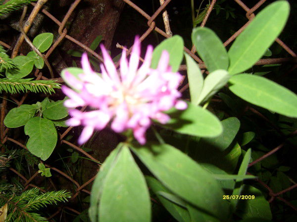 Ольга Еремеева