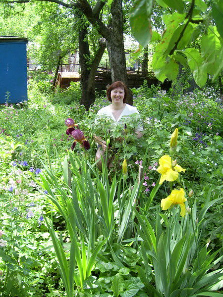 Наталия Нестерова