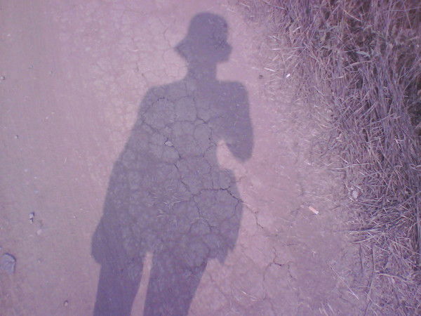 Елена Затевалова