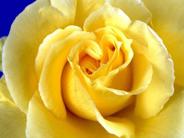 Гульнар Мустафина-Аубакирова