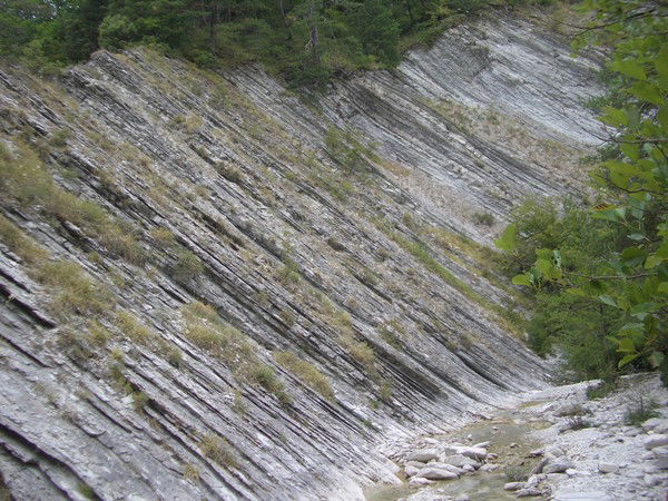 Александр Иванов