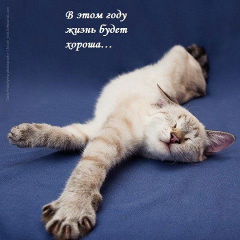 Нияз Буреев