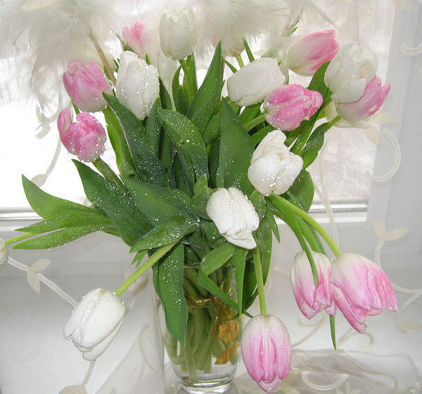 Sevinch Fahretdinova