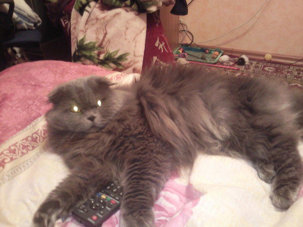 Кристина Тетерская