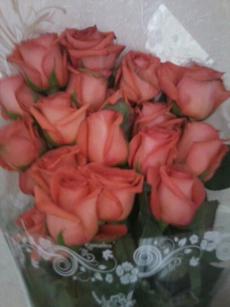 Галина Котенок