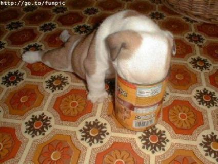 Леонид Шишов