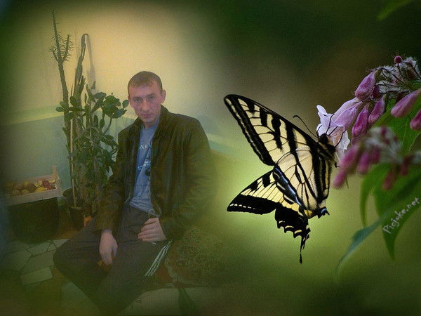 Евгений Григоренко