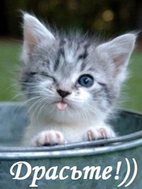 Елена Кочкина