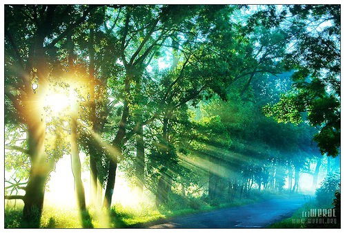 Лейла Алиева