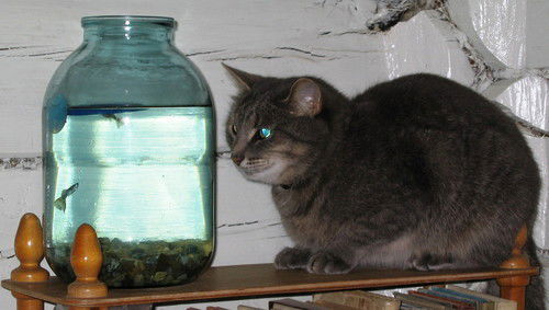 Геннадий Жонин