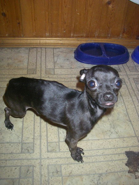 Марина Ковалева