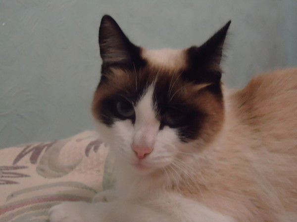 Марина Бегишева