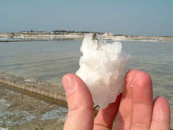 Виктор Китаев