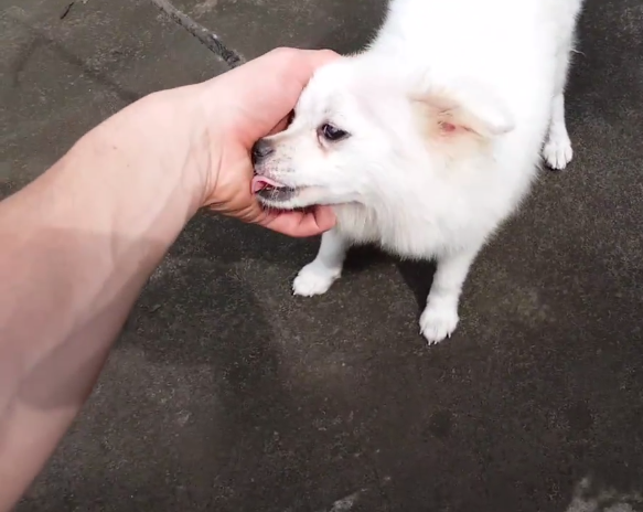 Дарья Чекотина