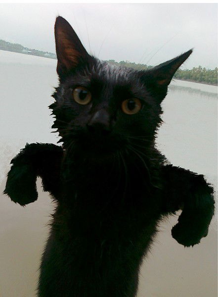 Ильдар Расулев