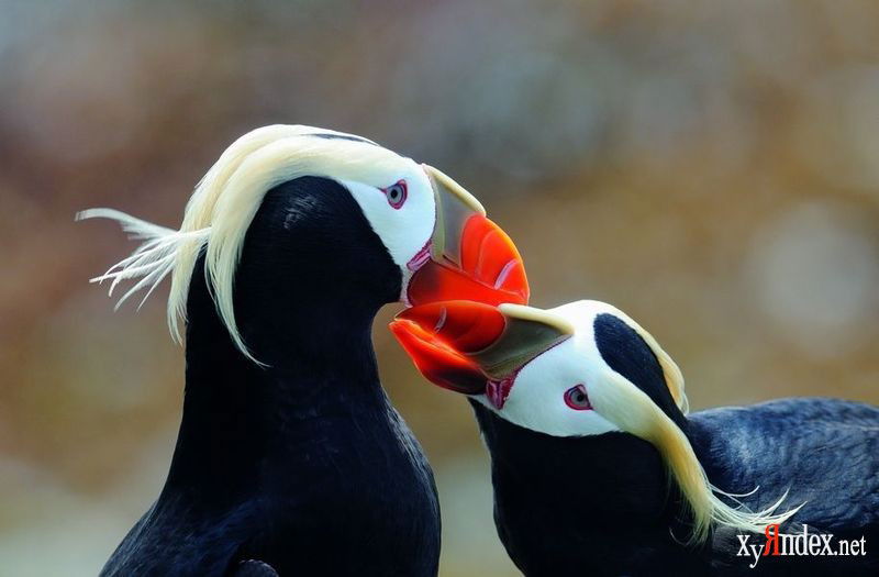 Сергей Иванов