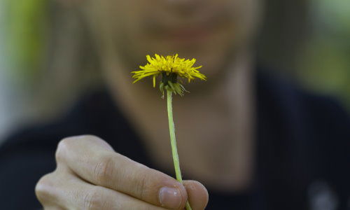Николай Звонарев