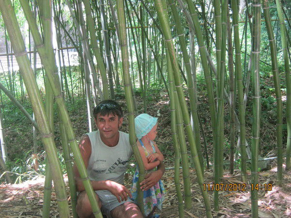 Александр Владимиров