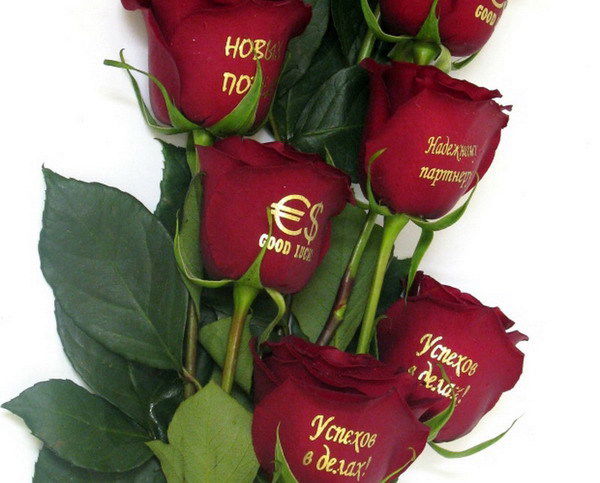 Динара Шакирова