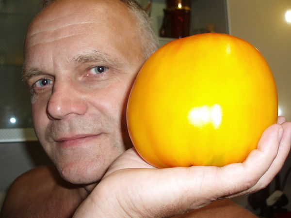 Михаил Чокнадий