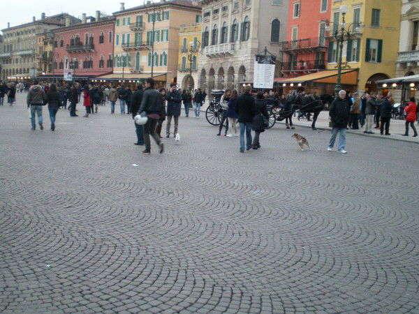 Кристина Кристина