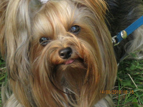 Татьяна Дубровина