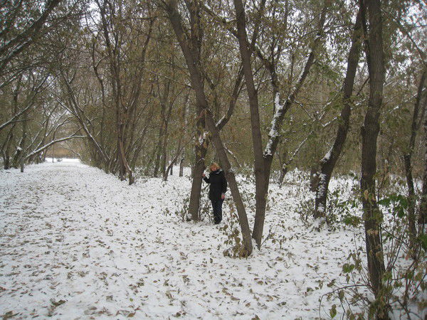 Татьяна Ласман