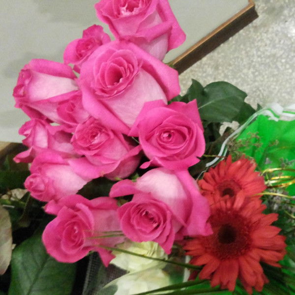 Иванка Костащук