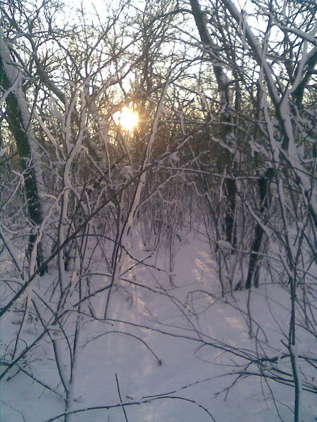 Канат Шыныбаев