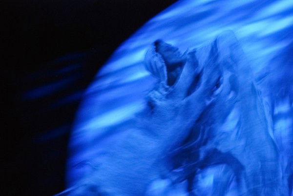 Светлана Лопина