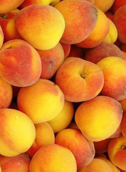 Полина Клименкова