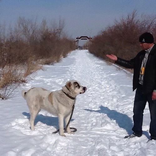 Олег Кулинский