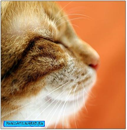 Сергей Валерьевч