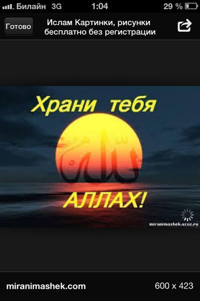 Эльнур Гусейнов