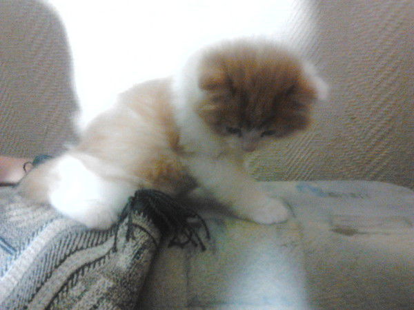 Евгения Гусарова(Тимофеева)