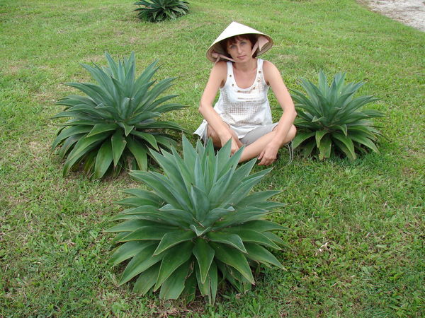 Ольга Киселькова