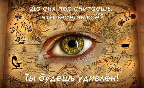 Елена Лазарева