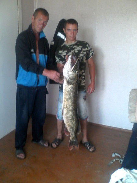 Андрей Воробьев