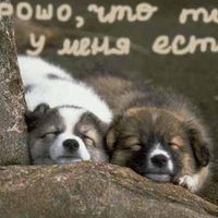 Вера Михайлова