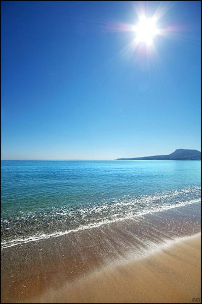 Марина Зубель