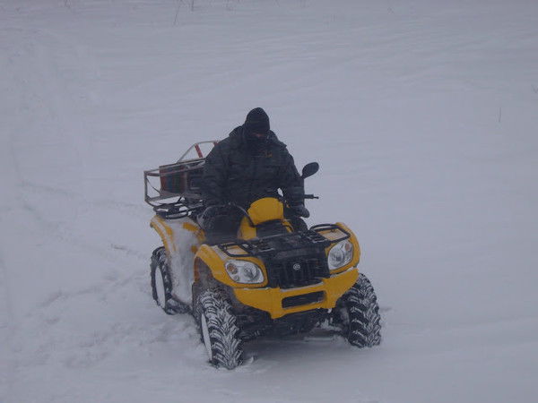 Игорь Берешполов