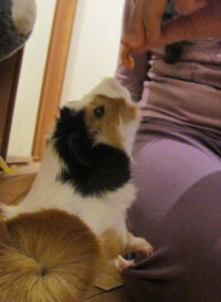 Валерія Кравченко