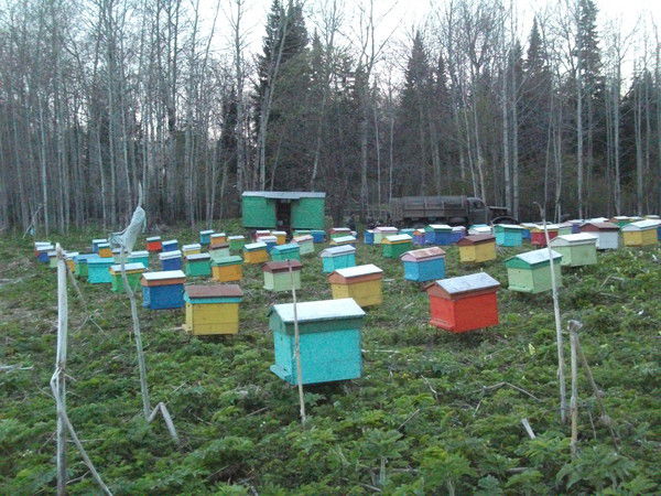 Николай Каханов