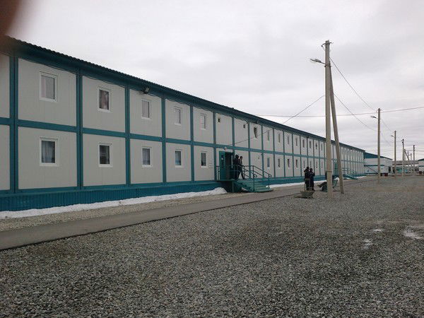 Владимир Земцов