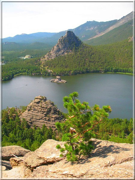 Галина Николаева