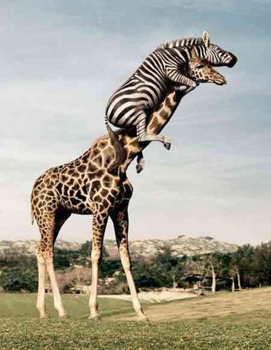 Василий Пытьев